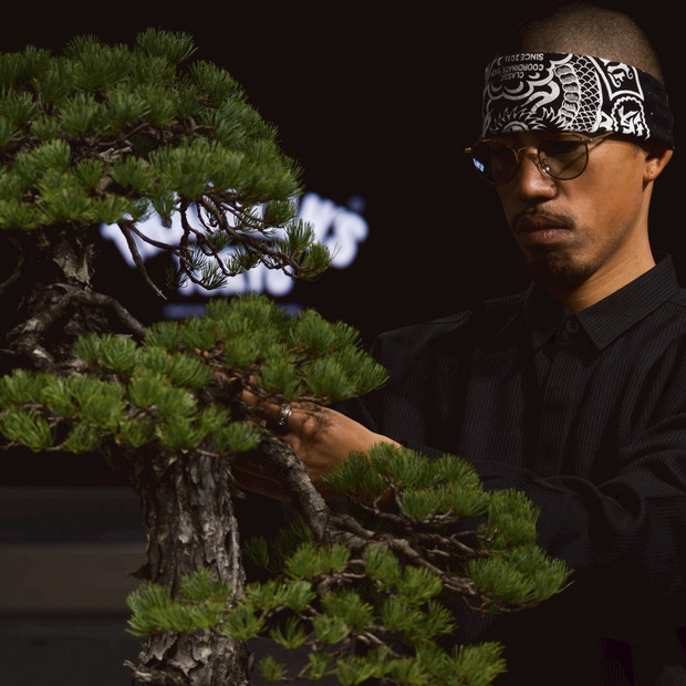 TRADMAN’S TORAICHI　- 寅松ボタンシャツ - 詳細画像